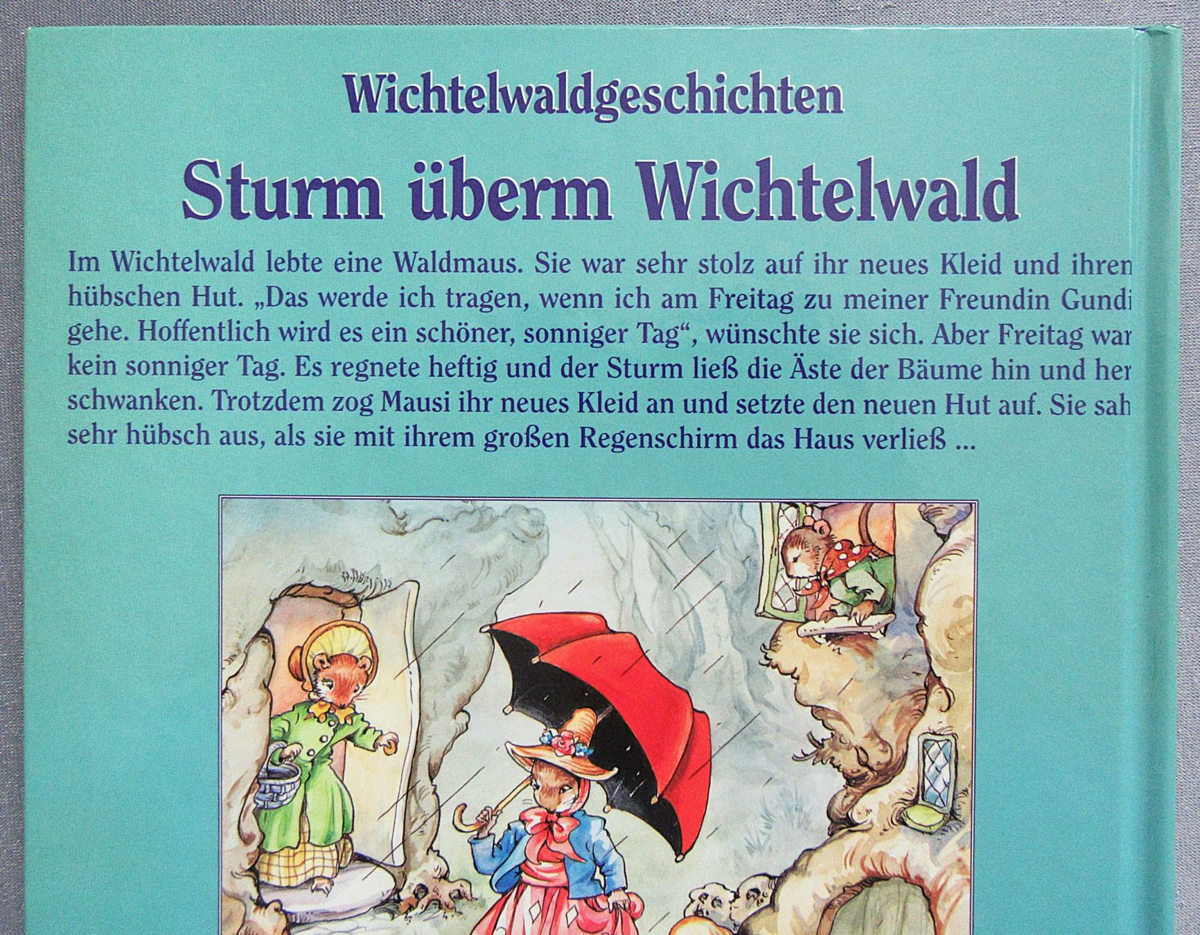 Libri: Wichtelwaldgeschichten - Sturm überm Wichtelwald – Usato da Auenstein venduto da Padabimbim 1