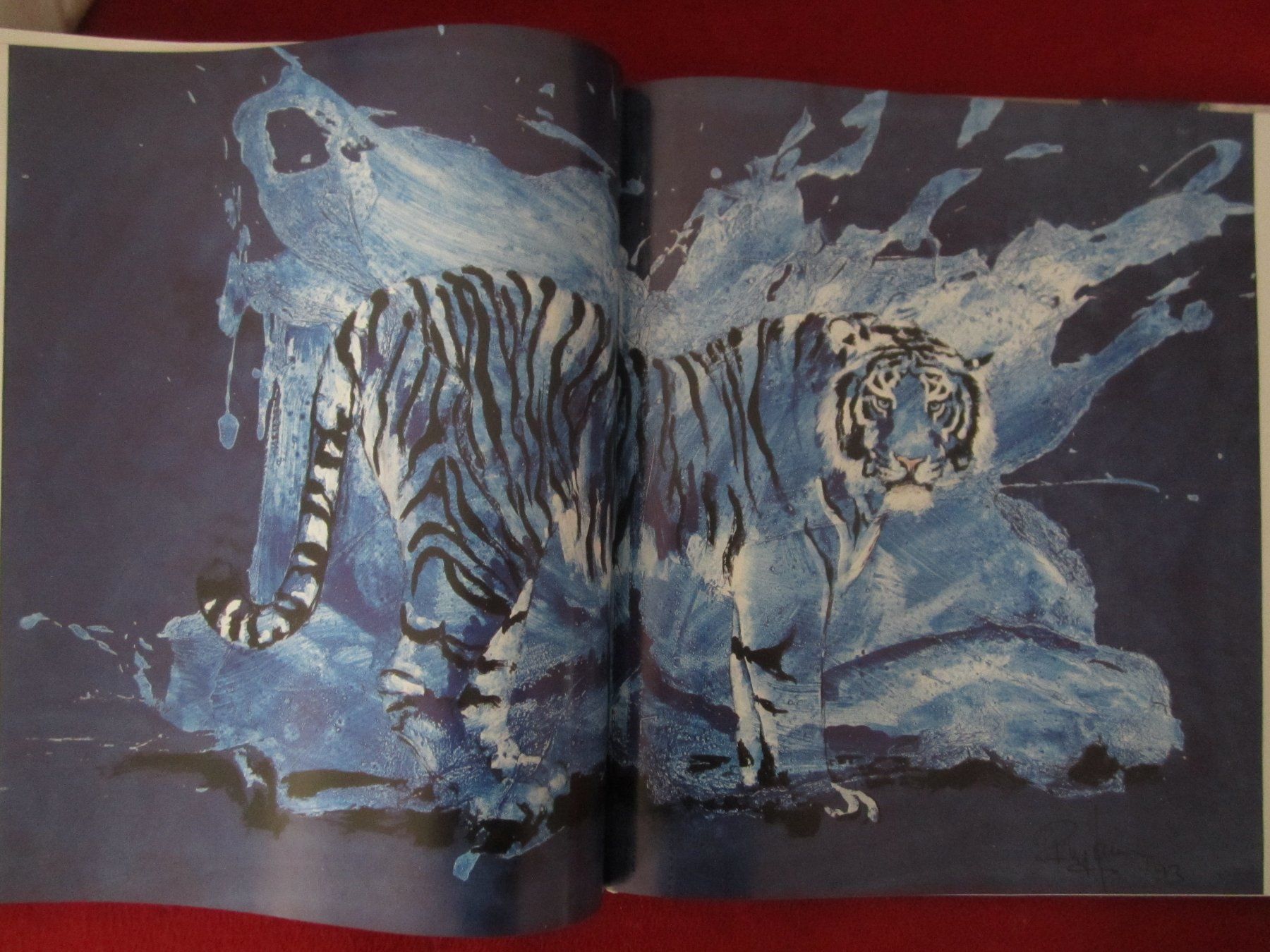Libri: ROLF KNIE: MITTENDRIN AU BEAU MILIEU!!! – Usato da Volketswil venduto da nemo2000 4