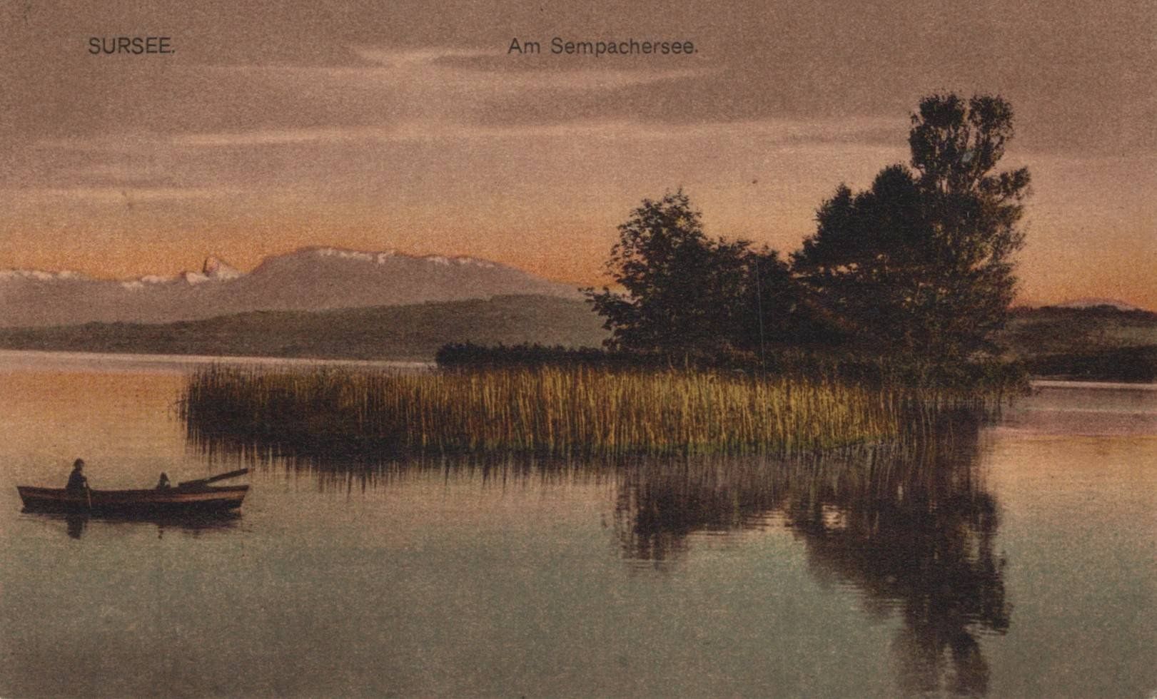 Cartoline postali: Ansichtskarte Sursee Am Sempachersee – Usato da Oberkirch LU venduto da sa_kr