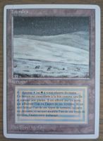 MTG - 1 x Toundra (Tundra)