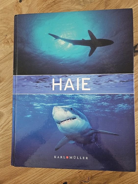Hai-Buch von Karl Müller: Spannende Fakten über Haie! (Gebraucht) in ...