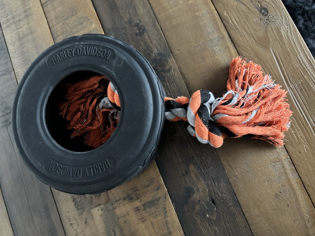 Giocattoli: Harley-Davidson Hundespielzeug – Nuovo (secondo la descrizione) da Brunnen venduto da Skyline89