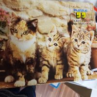 Puzzke 99tlg Katzen K43