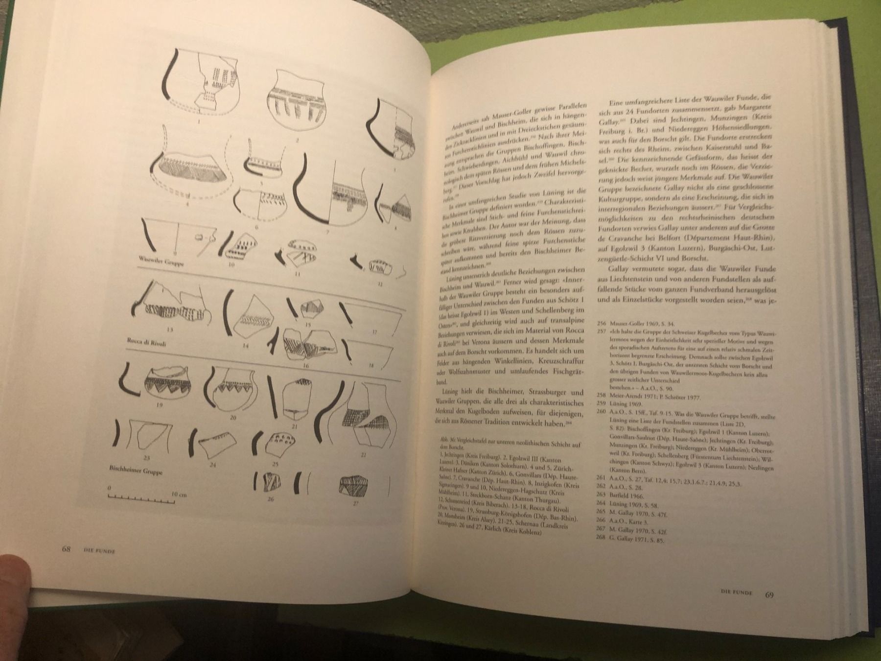 Libri: M. Maczynska: Schellenberg-Borscht. Prähist. Siedlung FL – Usato da Zürich venduto da allp 6