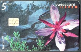 Taxcard - Gewöhnlicher Diptam - CH