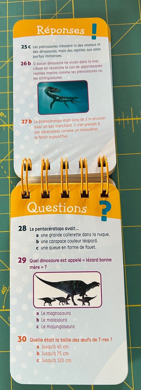 Giochi: Quiz de connaissance sur les dinosaures – Nuovo (secondo la descrizione) da Bouveret venduto da sev_qj7l 2