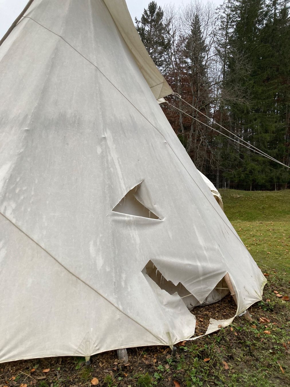 Tende & Padiglioni: Tipi Aussenzelt – Difettoso da Rüschegg Heubach venduto da ninavui 2