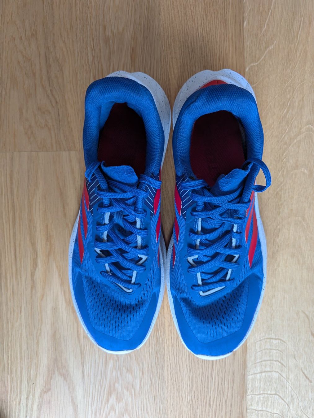 Adidas Scarpe da uomo: ADIDAS TERREX SOULSTRIDE FLOW – Usato da Bern venduto da vchessex 2