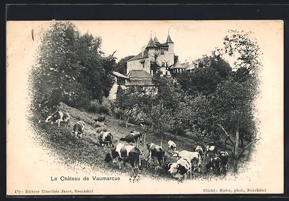 Cartes postales: AK Vaumarcus, Le Château, 1903 – D'occasion à Berlin par bartko-reher