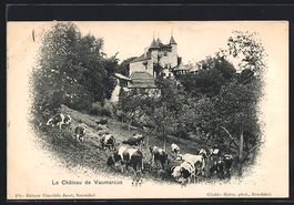 AK Vaumarcus, Le Château, 1903