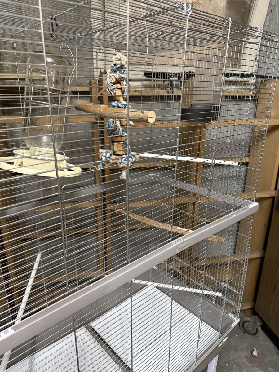 Gabbie, trasporto & Sicurezza: Cage à oiseaux grande taille avec accessoires bon état – Usato da Pully venduto da UCA01 2