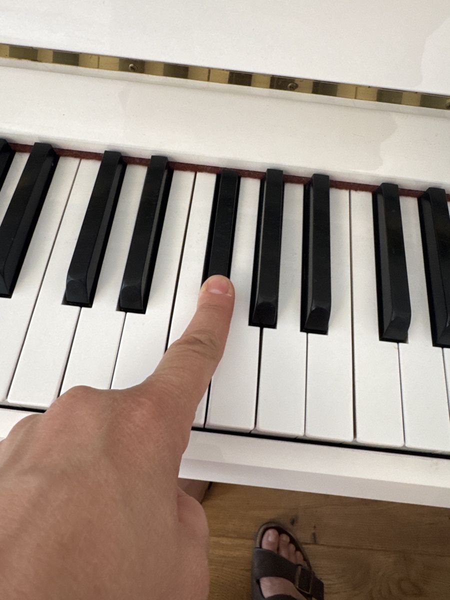 Strumenti musicali: HYUNDAI Klavier – Usato da Untersiggenthal venduto da kaanzurich 6