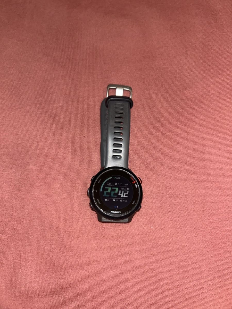 Garmin Smartwatch: Garmin Uhr Forerunner 55 – Gebraucht aus Adligenswil von Lasvegas_66