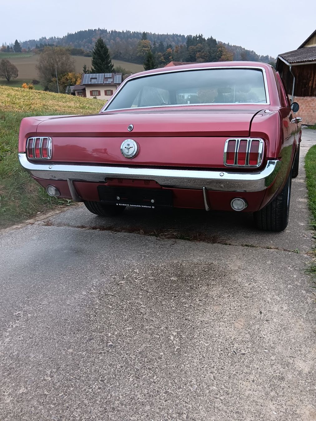 Ford (Usa) Autos: Ford Mustang 289 V8 1966 – Gebraucht aus kölliken von TerryCash 8