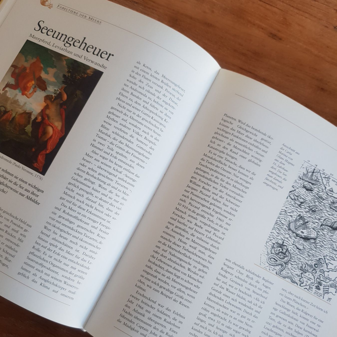 Bücher: 🐸 Von Drachen, Yetis und Vampiren – Gebraucht aus Môtier (Vully) von Frogs 5
