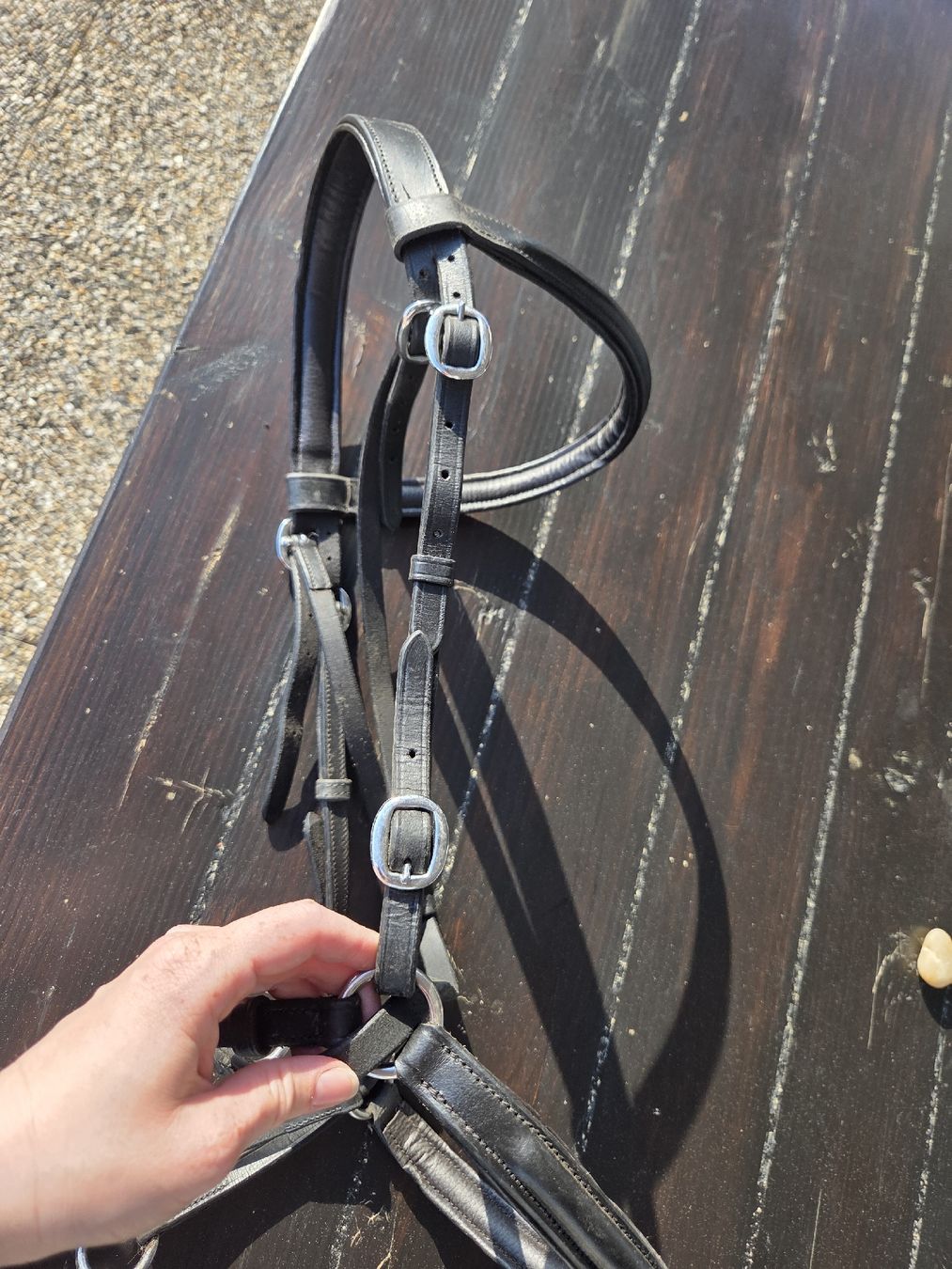 Briglie & Cavezze: Ennasure à menton croisé taille cheval – Usato da Lens venduto da ade_nb6v 2