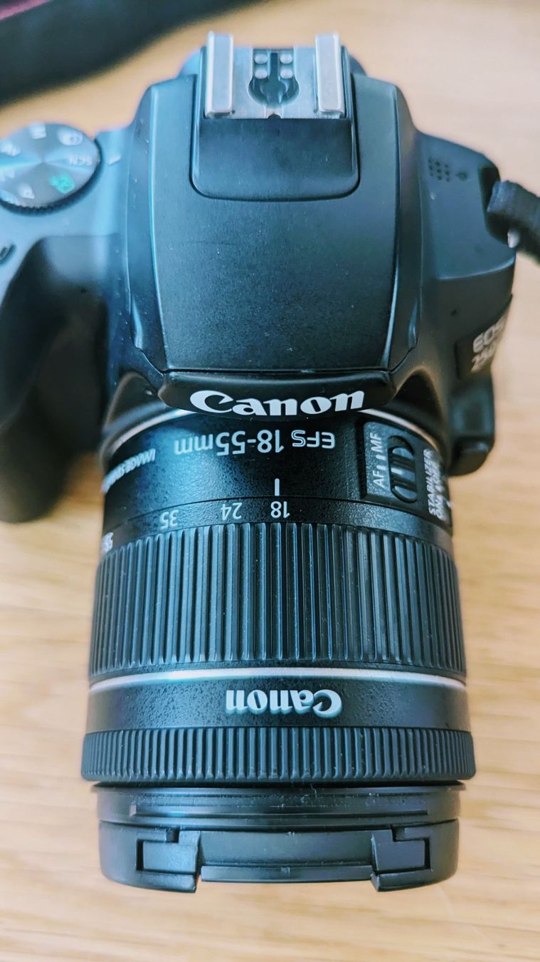 Canon Fotocamera: Appareil photo Canon EOS 250D – Usato da Lausanne venduto da cla_zpq6