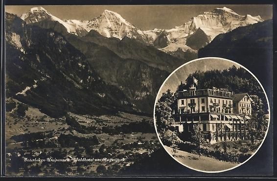 Cartoline postali: AK Interlaken, Waldhotel am Rugenpark – Usato da Berlin venduto da bartko-reher