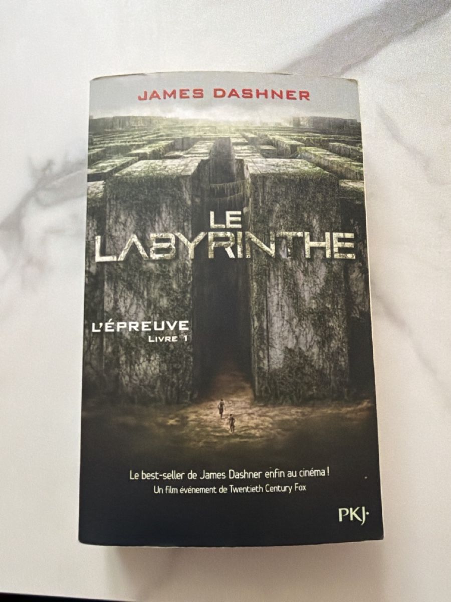 Libri: Livre Le Labyrinthe – Nuovo (secondo la descrizione) da Concise venduto da mauranou._