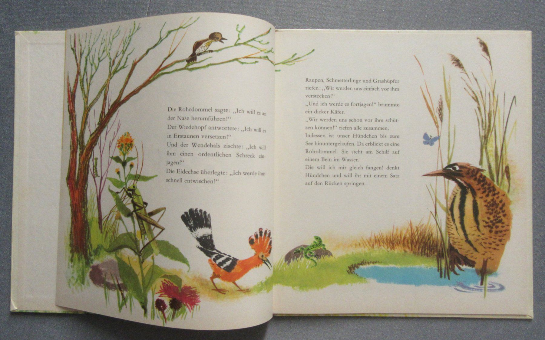 Libri: Die erste Jagd - Hundegeschichte – Usato da Auenstein venduto da Padabimbim 1