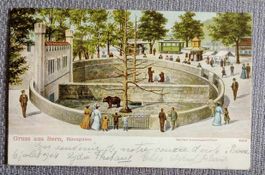 Postkarte / Litho Gruss aus Bern Bärengraben (Zoo) 1904
