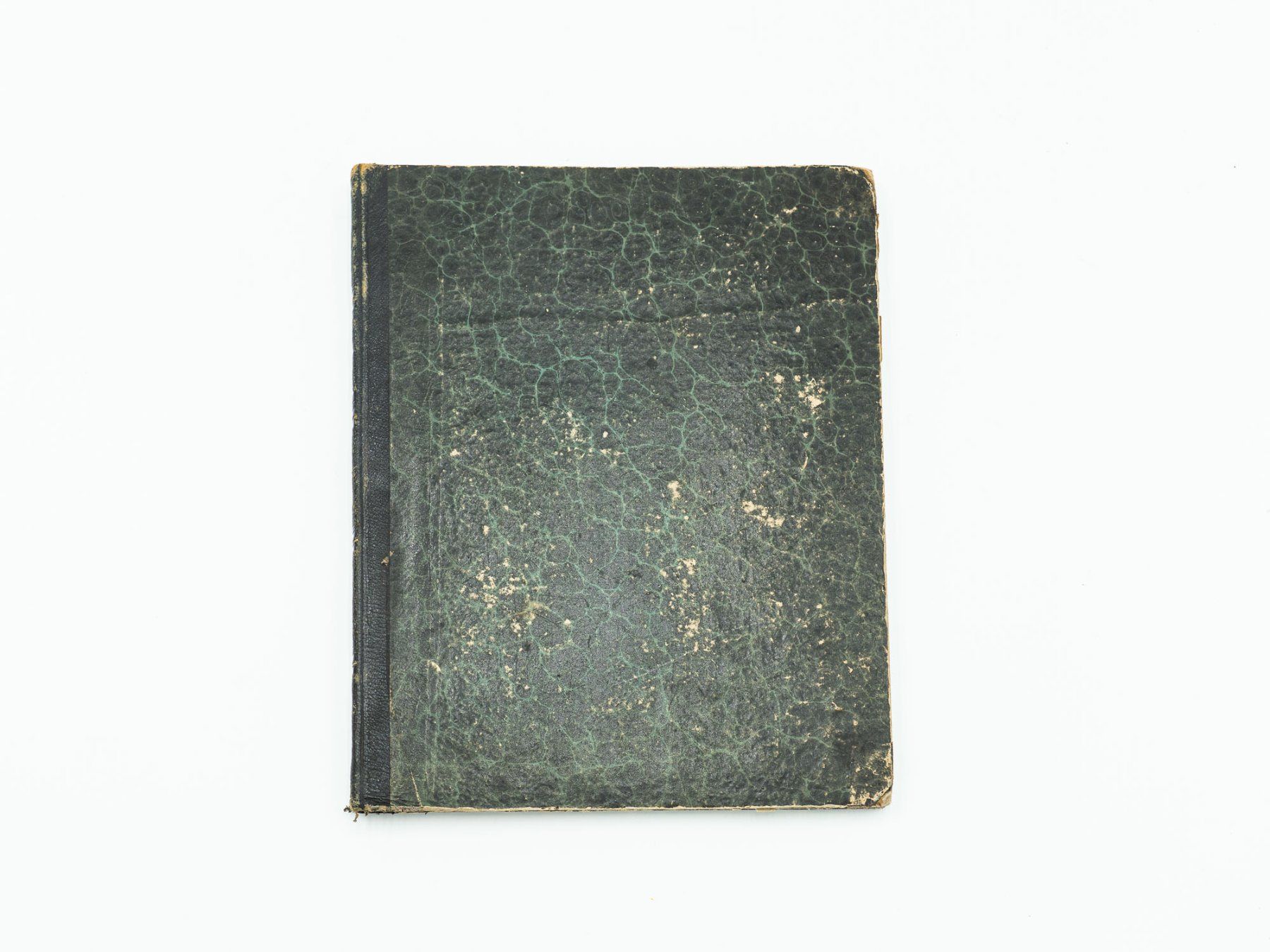 Libri: Antiquarisches Buch "Botanik Graubünden" - 1839 - Ref. 06/25 – Usato da Au ZH venduto da BrockiAu 8