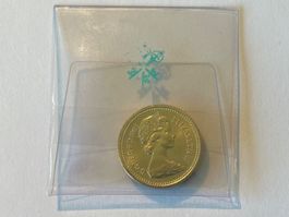 1 Pfund Münze Jahrgang 1983 - Sammlerstück!