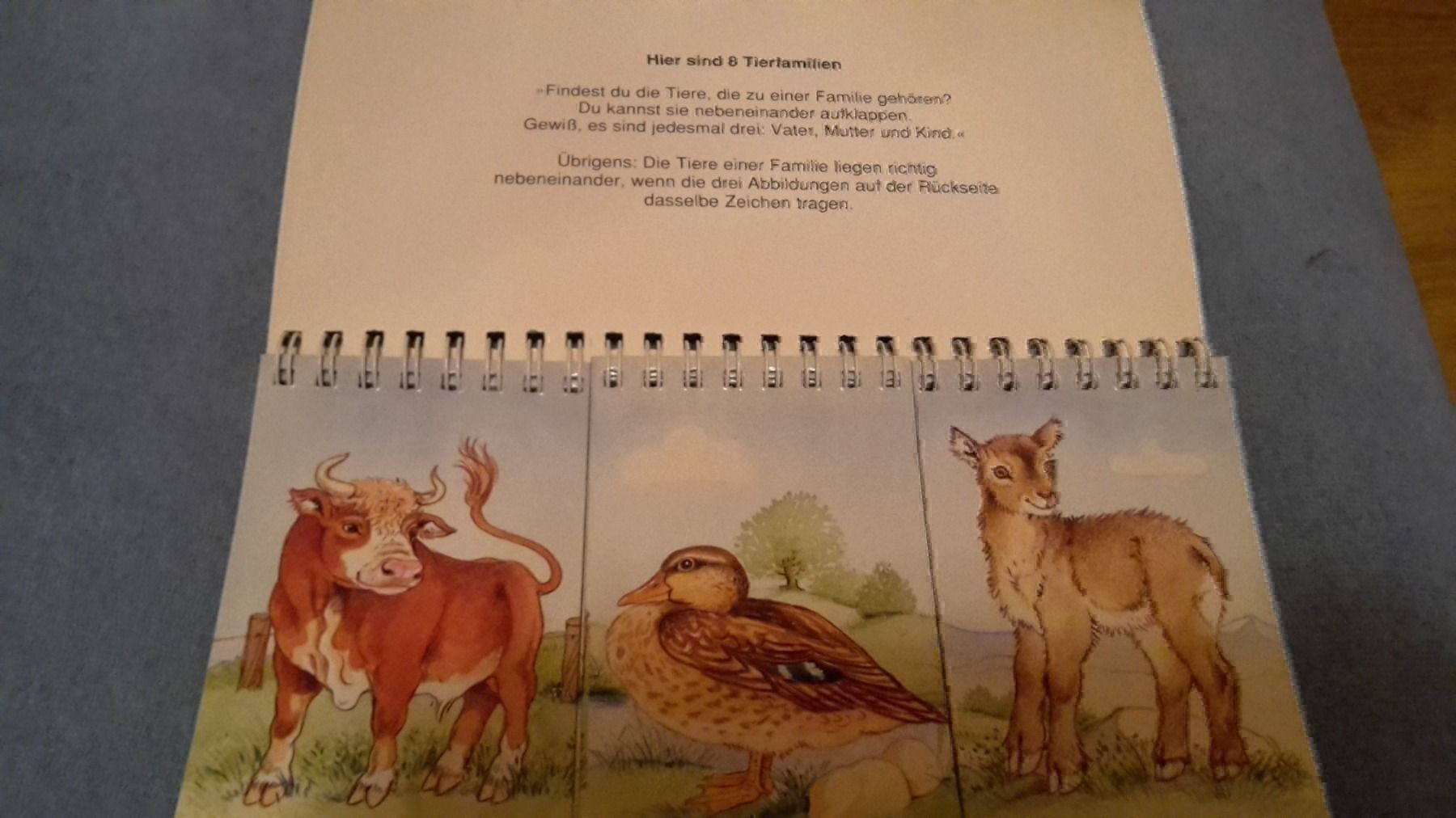 Libri: Klapp Bilderbuch Kikeriki – Nuovo (secondo la descrizione) da Schwarzenburg venduto da Flamingo07 1