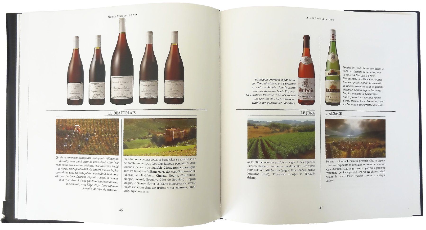 Libri: NOTRE UNIVERS - © 1990 "Le Vin" – Usato da Onex venduto da gonsla 4