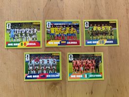 5x Panini WM 2026 Gruppen