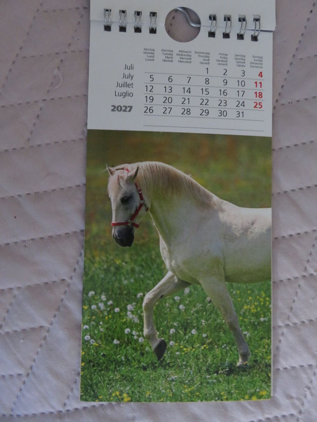 Kalender: Pferde - Postkartenkalender 2027, Engadin Verlag, Hans Buff, – Neu und originalverpackt aus Bützberg von whs_wqc2 3