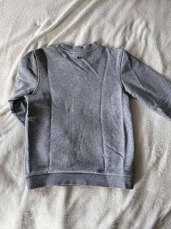 Lacoste Maglioni & Felpe: Sweat-shirt Lacoste – Usato da Sion venduto da nao_2cg5 1