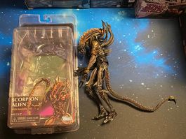 NECA Scorpion Alien KO Version inklusive OVP gebraucht