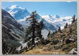 Rosegtal, Piz Roseg und Sella-Gruppe