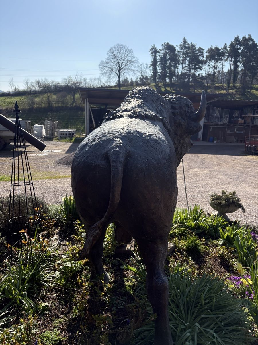 Sculture & Statue: Bronzeskulptur Bison lebensgross – Usato da Herznach venduto da kai_p5bm 4