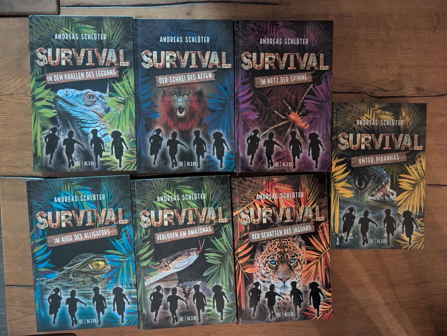 Libri: Survival Bücher Set – Usato da Wangen ZH venduto da Nadja056