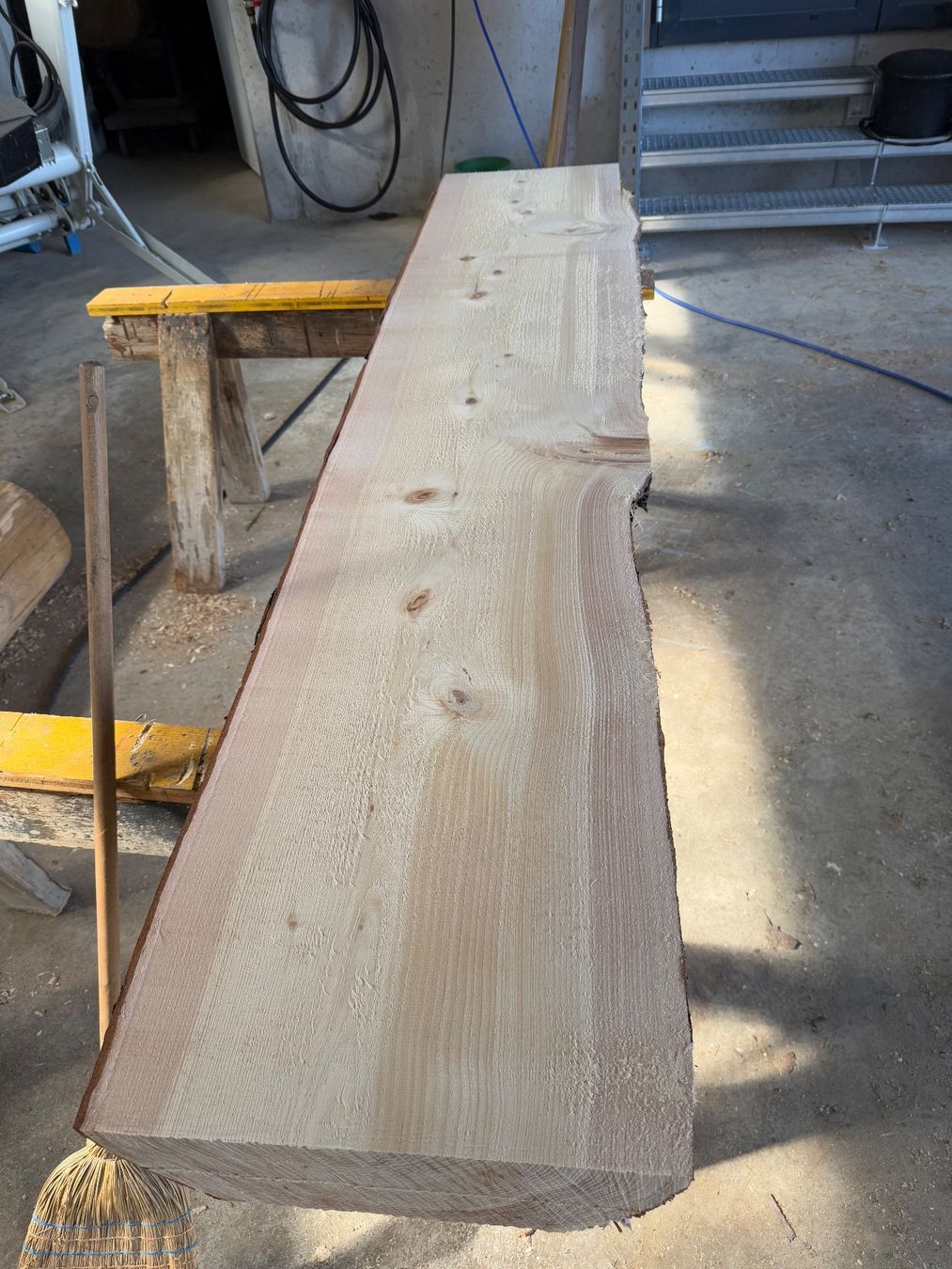 Articoli in legno: Thuja klotzbretter ganzer Stamm – Usato da Holziken venduto da Timbergrizzly 2