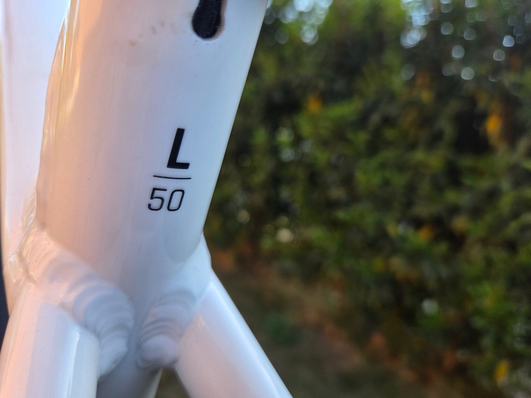 Gas Gas Biciclette: GasGas CC5.0 Ebike 25km/h – Usato da Embrach venduto da Sportler87 3
