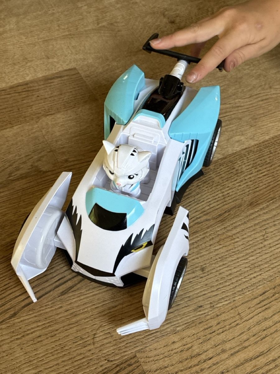 Giocattoli: Paw Patrol Auto und Figur  – Usato da Liebefeld venduto da dschegi 1