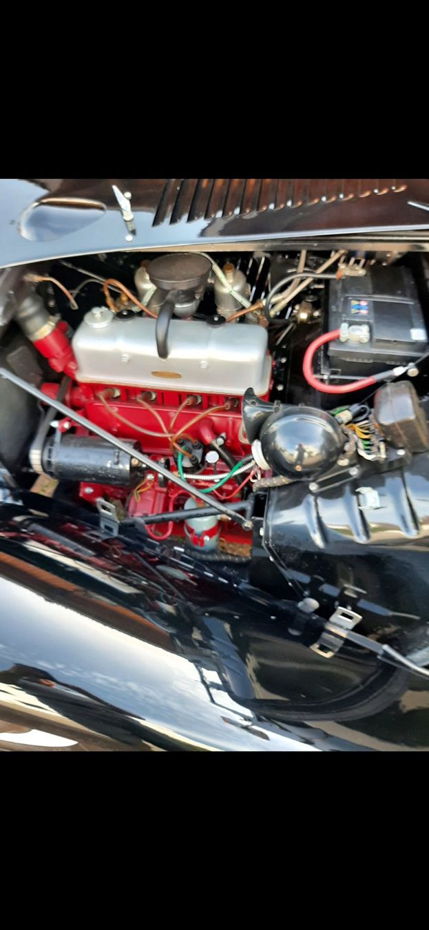 MG Automobili: MG TD 1950 – Usato da Subingen venduto da Hefesu 3