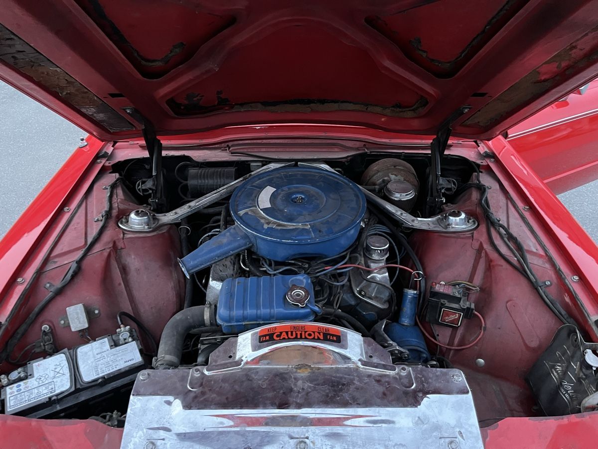 Ford Automobili: Ford Thunderbird V8 6.4, 252 PS – Usato da Felsberg venduto da Vahid7 6