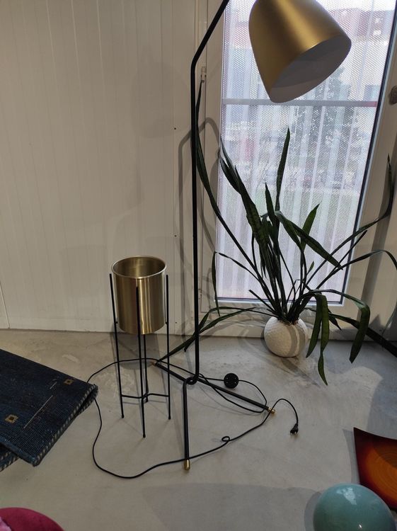 LeseStänderlampe mit BlumentopfStänder, schwarzmattgoldig Kaufen