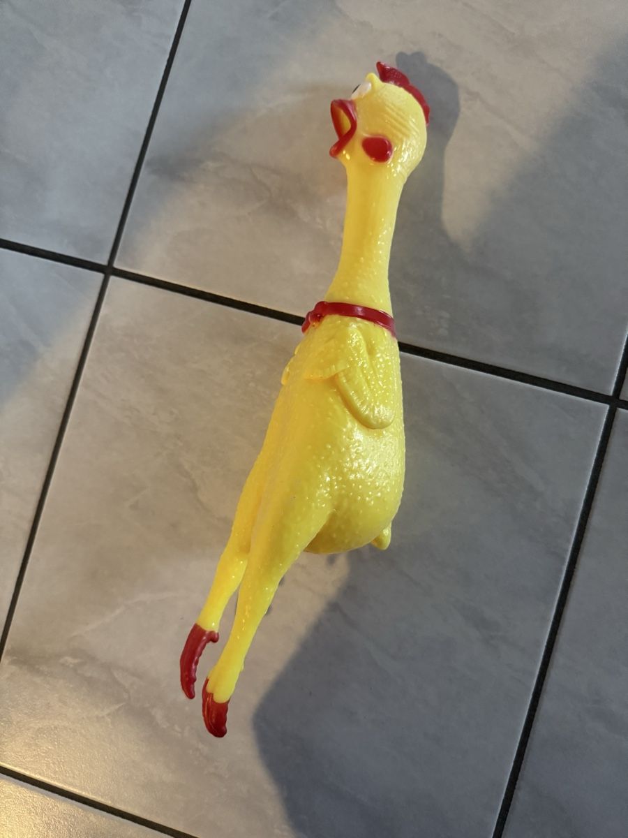 Giocattoli: Quietsch Huhn – Usato da Hergiswil NW venduto da kaufe_bei_kaufmann 2