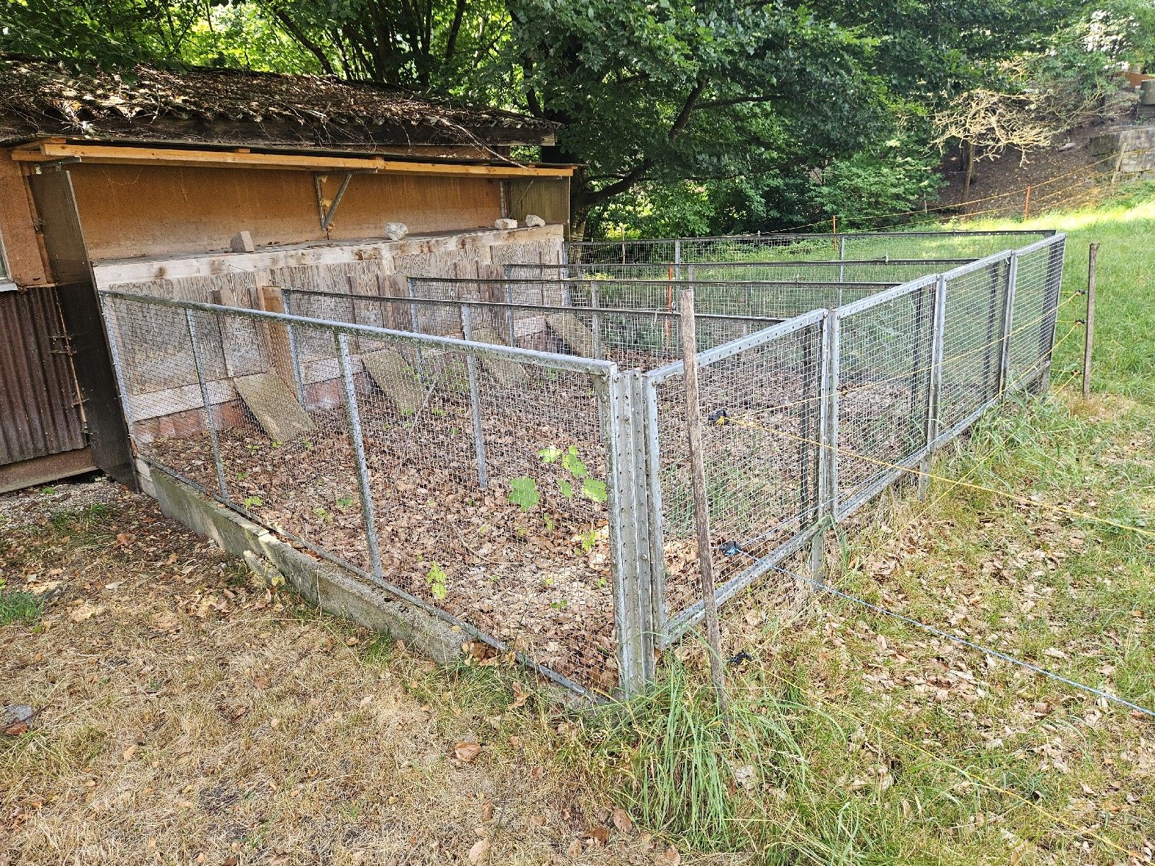Gabbie, trasporto & Sicurezza: Hasen Ausengehegen Metal XXL  – Usato da Matzendorf venduto da ari_gx7t 2