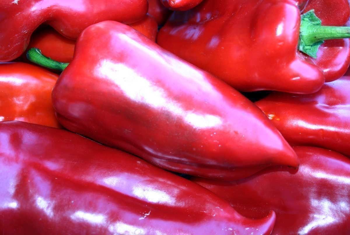 Piante & sementi: 50 Samen Paprika Kapia Rot Süss – Nuovo (secondo la descrizione) da Ehrendingen venduto da VerveinaSamen 1