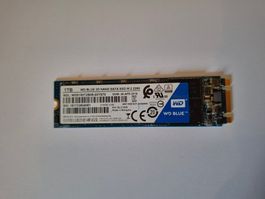 WD Blue - 1TB SATA SSD M.2 2280