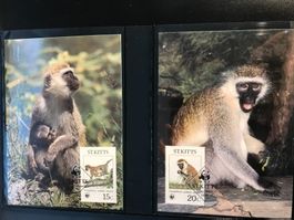 St.Kitts 1986 Satz WWF Grüne Meerkatze Maximumkarten