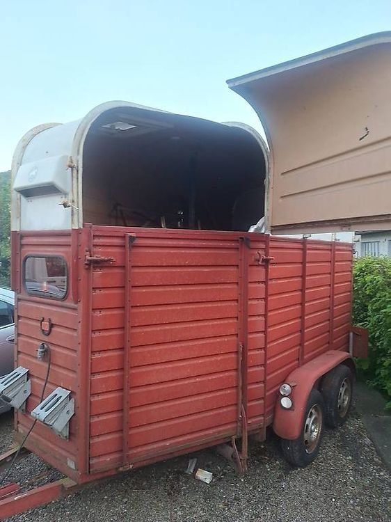 Rice Rimorchi: Rice Pferdeanhänger Oldtimer Retro – Usato da Oberägeri venduto da cmonbrunner 3