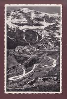 KLAUSENPASS - Jägerbalm - Kühe - 1948
