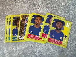 Panini CUW Bilder zum auswählen Preis pro Bild